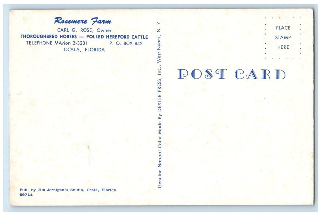 1960 Rosemere Farm Thoroughbred Horses Hereford Cattle Ocala Florida FL Postcard