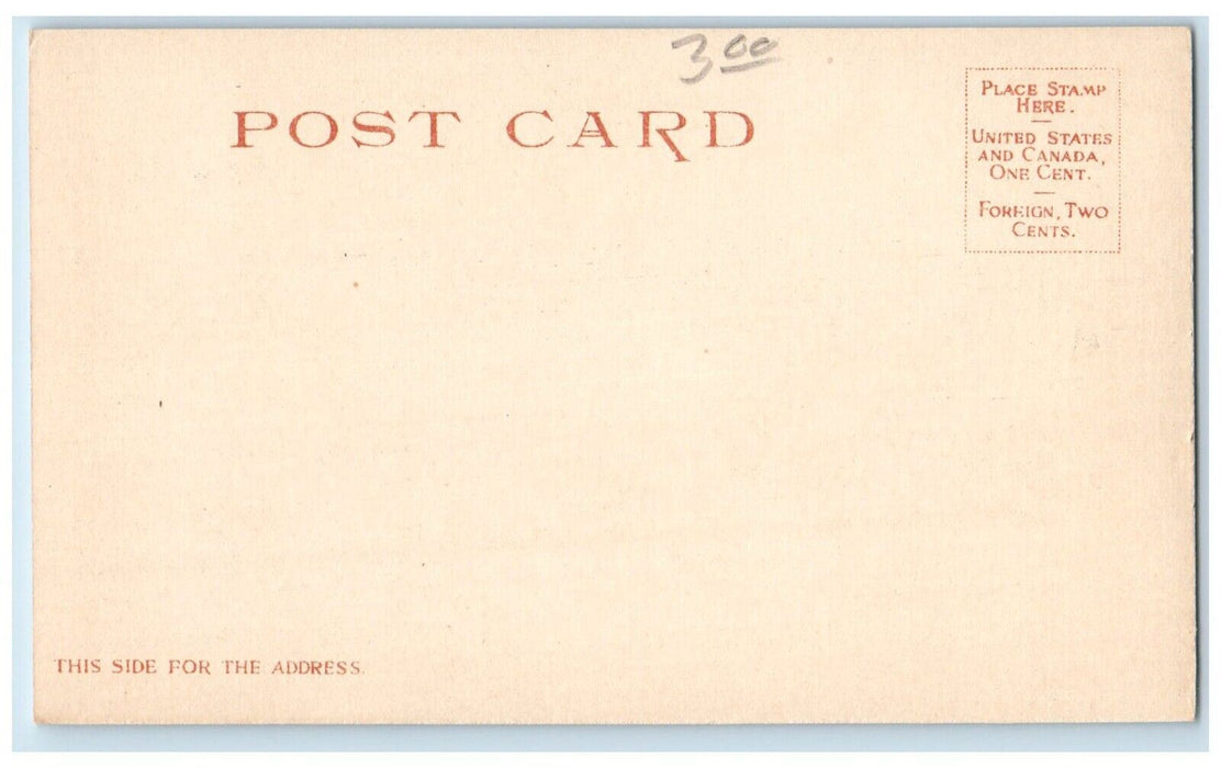 c1905 Primitive Water-Works System Donkey Children Detroit Publishers Postcard