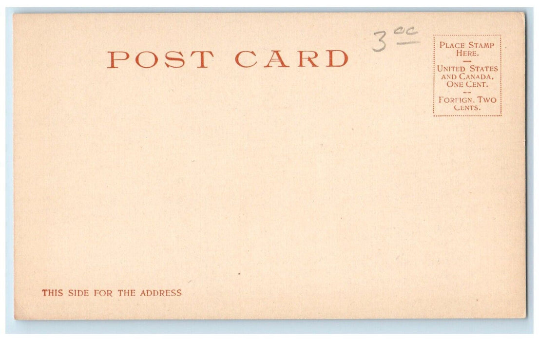 c1905 South Western Thoroughbreds Donkeys Detroit Publishers Antique Postcard
