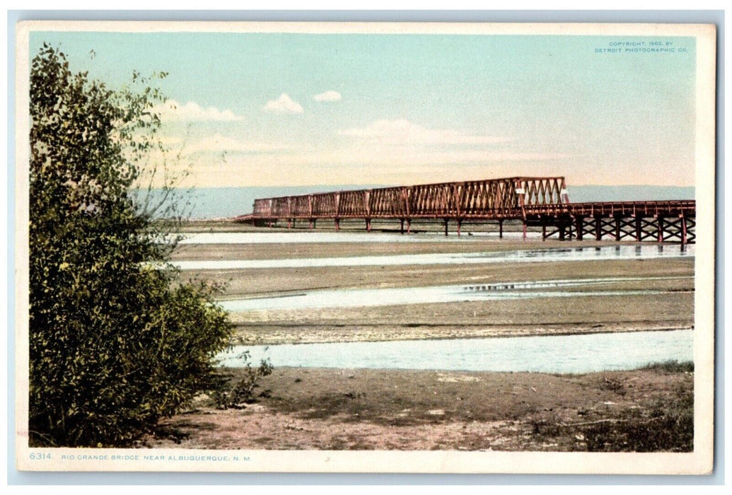 c1910 Scenic View Rio Grande Bridge Albuquerque New Mexico NM Vintage Postcard