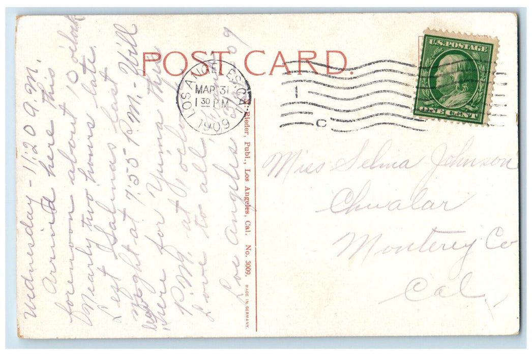 1909 Scenic View Of West Lake Park Los Angeles California CA Antique Postcard