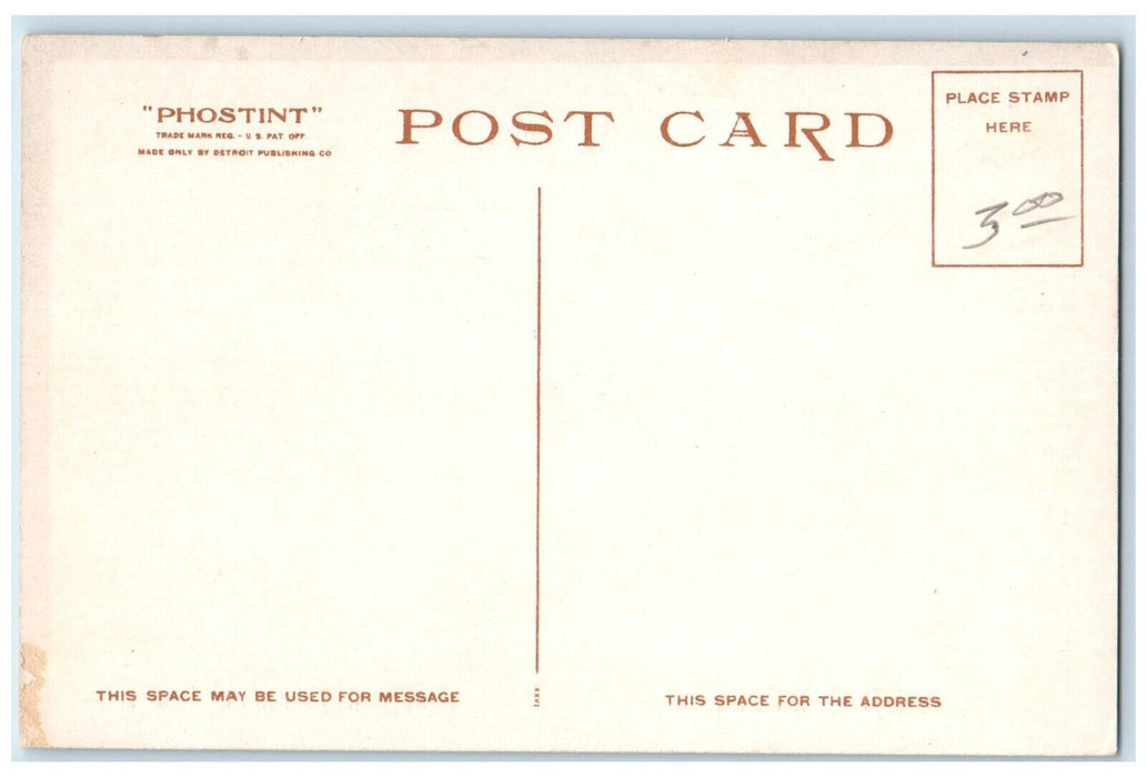 c1920 Hopi Basket Weaver Vintage Antique Phostint Detroit Publishing Postcard