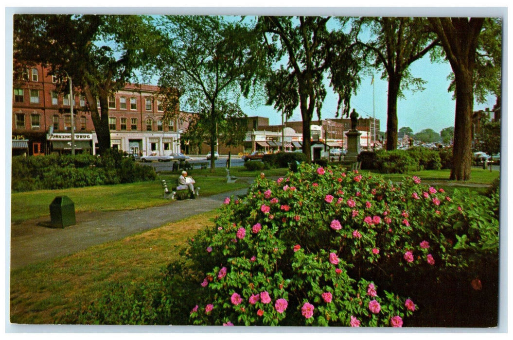 Central Square Garden Park Statue Scene Keene New Hampshire NH Vintage  Postcard