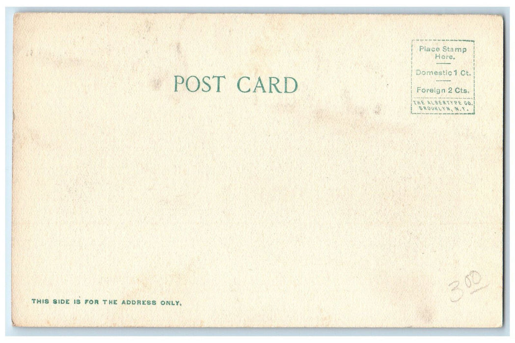 c1905 View Of Avalon Ship On Dock Santa Catalina California CA Antique Postcard