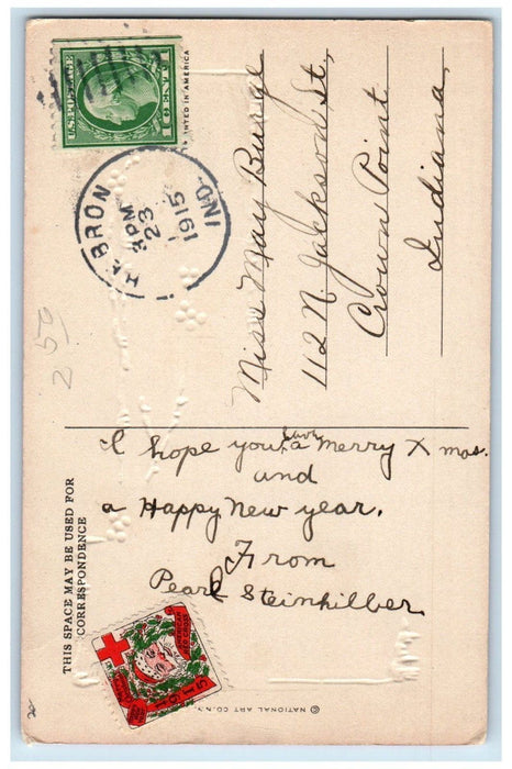 1915 Christmas Greeting Boy Snowball Holly Berries Winter Hebron IN Postcard