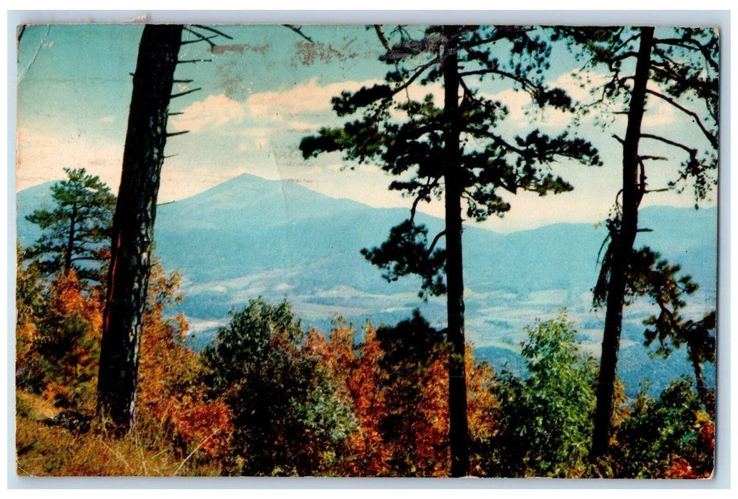 1966 Peaks Of Otter Recreational Area Blue Ridge Parkway Virginia VA Postcard