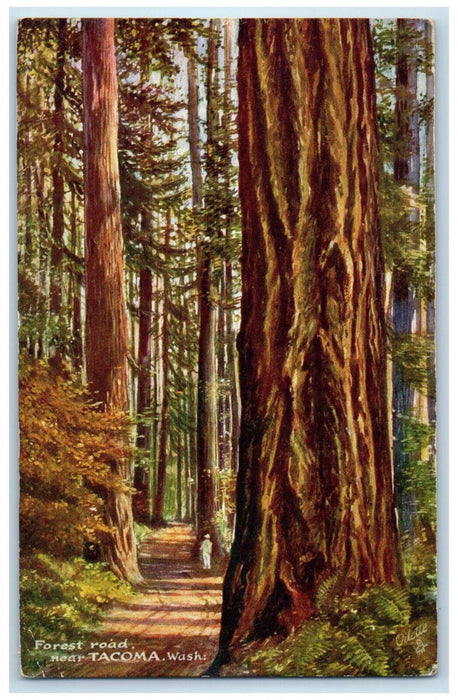 1909 Forest Road Near Tacoma Washington WA Oilette Tuck Art Antique Postcard