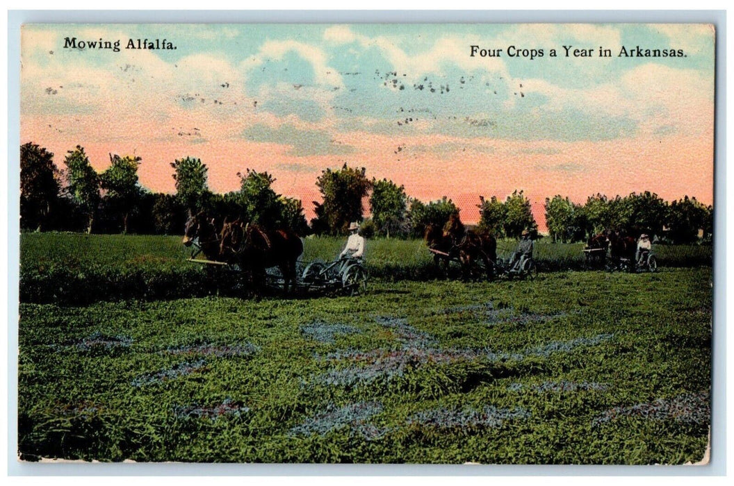 1913 Mowing Alfalfa Horse Carriage Farming Four Crops Year Arkansas AR Postcard
