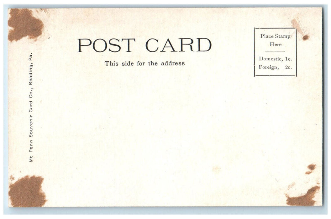 View Of Neversink Mountain Reading Pennsylvania PA Train Railroad Scene Postcard