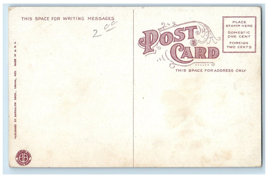 c1910 Train No. 10 Entering Fish Cut Union Pacific Line Wyoming WY Postcard