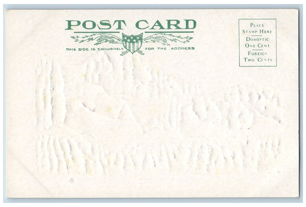 c1905's Ophir Loop Mountain Trail Ophir Colorado CO Unposted Embossed Postcard