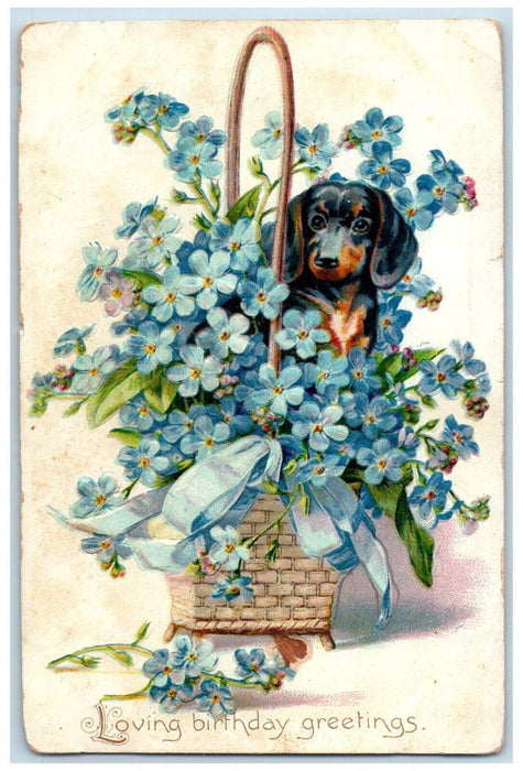 1909 Birthday Greetings Dachshund Dog In Basket Pansies Flowers Tuck's Postcard