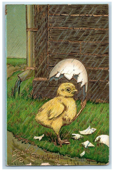 c1910's Easter Greetings Chicks Umbrella Hatched Egg Raining Embossed Postcard