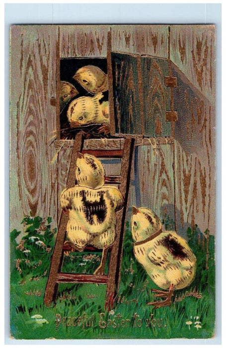 c1910's Easter Chicks Climbing Ladder Gel Gold Gilt Posted Antique Postcard