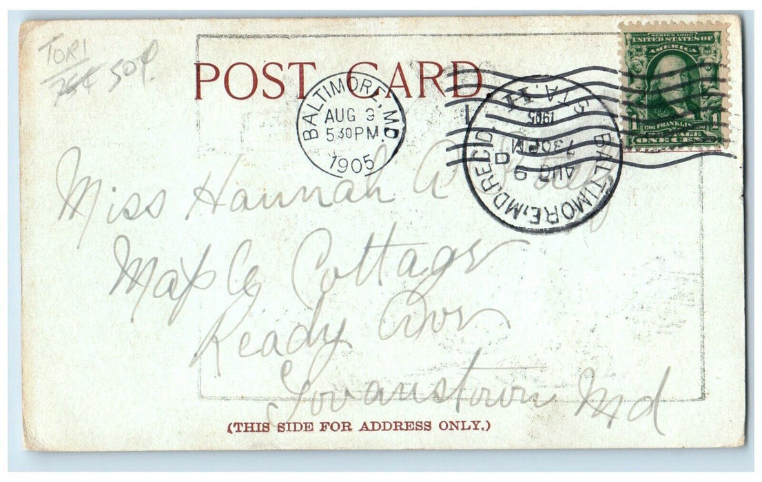 1905 Elephant Baggage Office Fixing Up My Trunk Baltimore Maryland MD Postcard