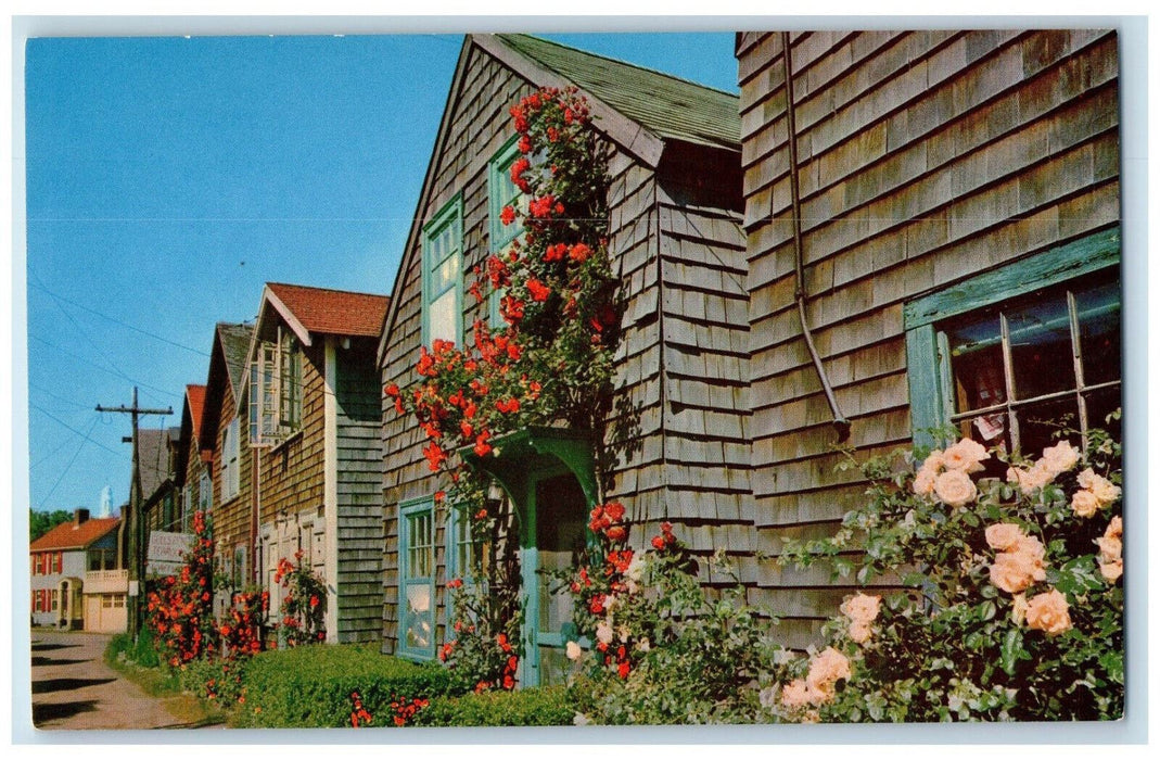c1950's Roses on Bearskin Neck Cape Ann Massachusetts MA Vintage Postcard