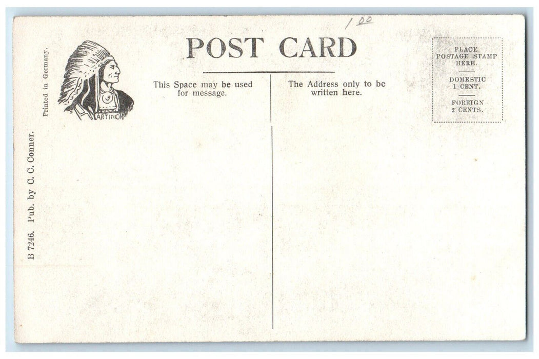 c1910's High School Building Campus Otego New York NY Unposted Antique Postcard