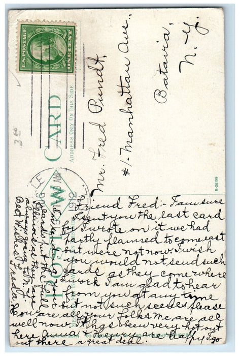 1912 View of Ellsworth Park Danville Illinois IL Antique Posted Postcard