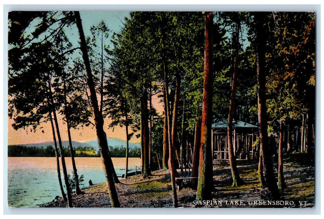 c1910 Trees Scene Gaspian Lake Greensboro Vermont VT Antique Posted Postcard