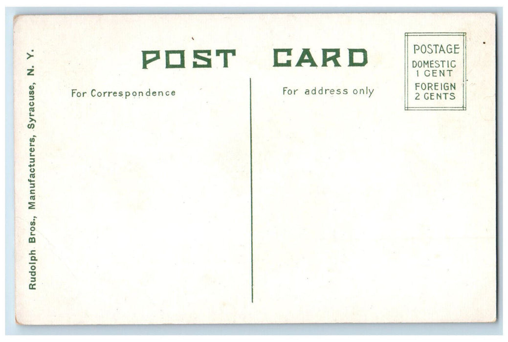c1910 Railroad Horse Carriage James Street Syracuse NY Antique Postcard