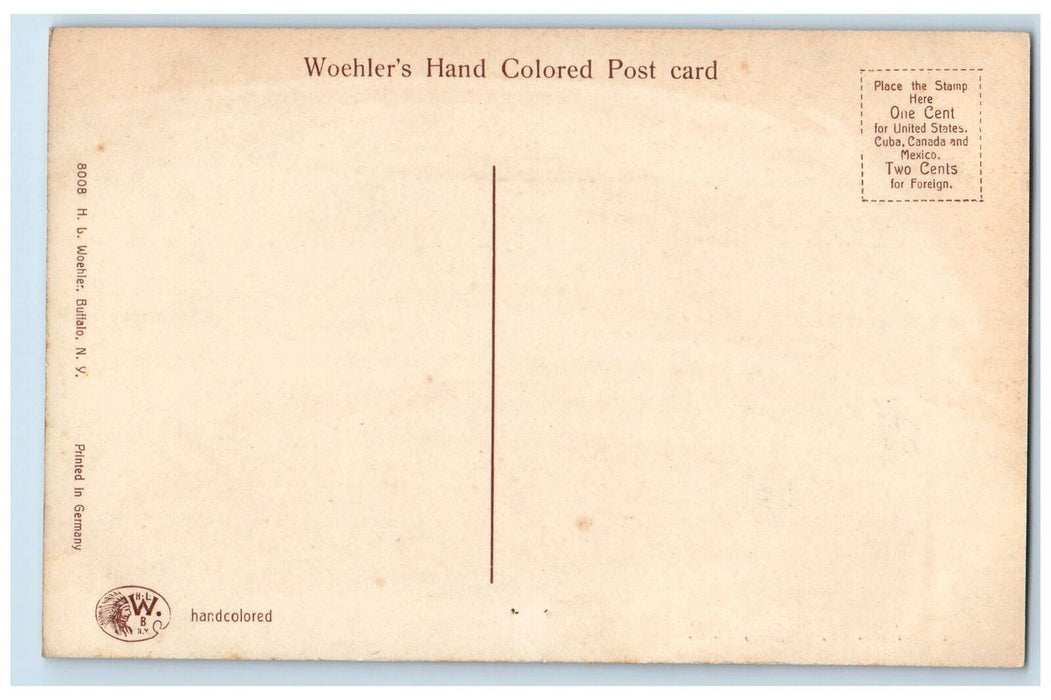 c1910's School No. 46 Flag Pole Ground Buffalo New York NY Unposted Postcard