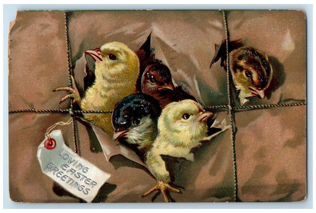 1910 Easter Greetings Chicks Embossed Albany New York NY Tuck's Antique Postcard