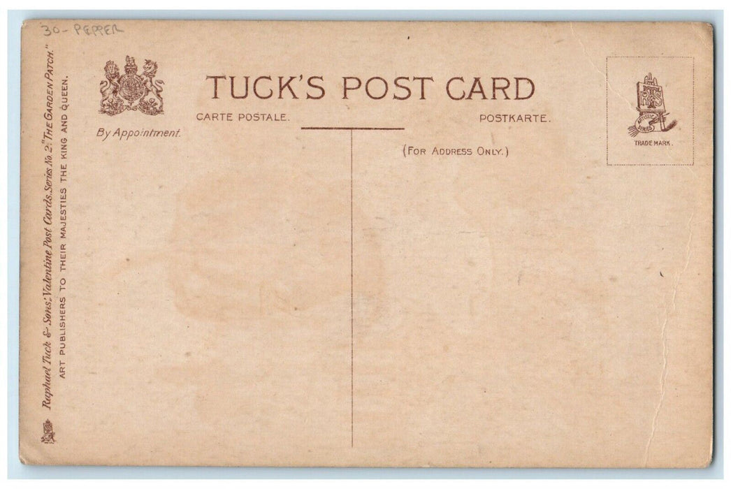c1910's Valentine Girl Pepper Head Crying Tuck's Unposted Antique Postcard