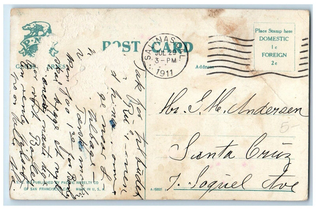 1911 Catholic Church Priory Parochial School Santa Cruz California CA Postcard