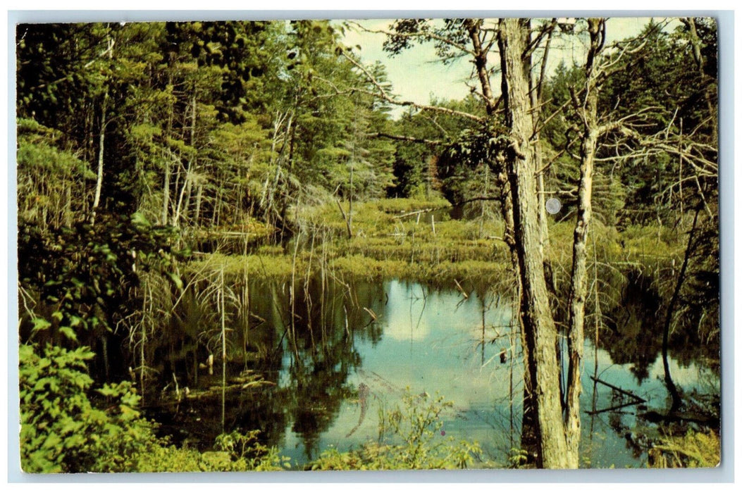 1974 Greetings from Parry Sound District Ontario Canada Vintage Postcard