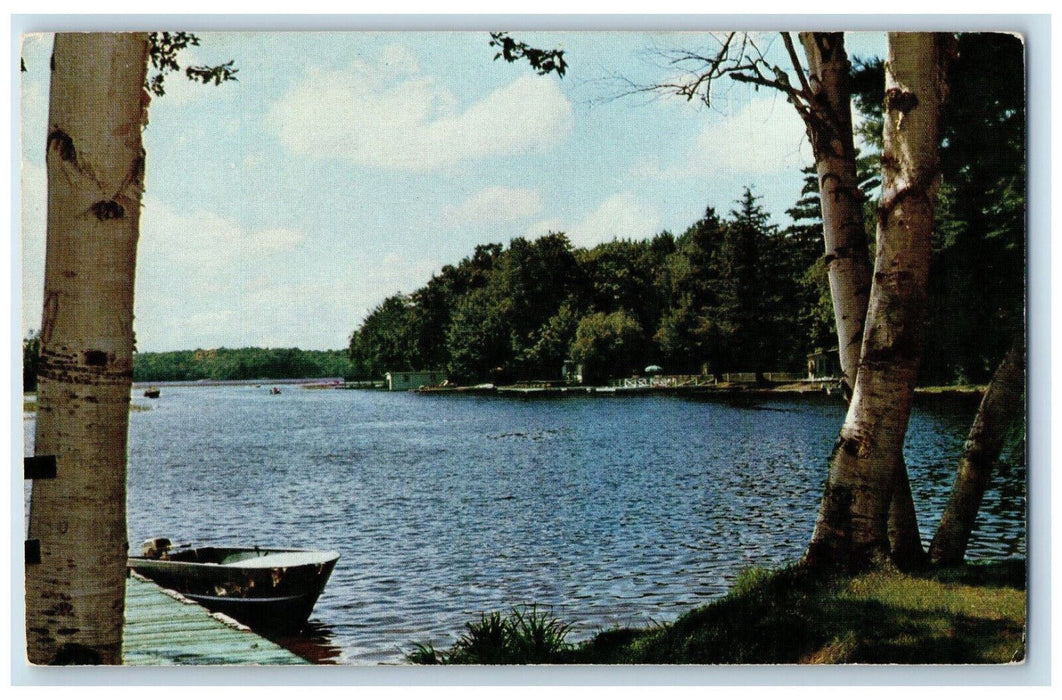 c1950's Pineaires Cottages & Campsites on Sandy Lake Lakefield Canada Postcard