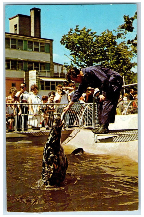 1987 Fish on the Menu Aquarium De Quebec Canada Vintage Posted Postcard