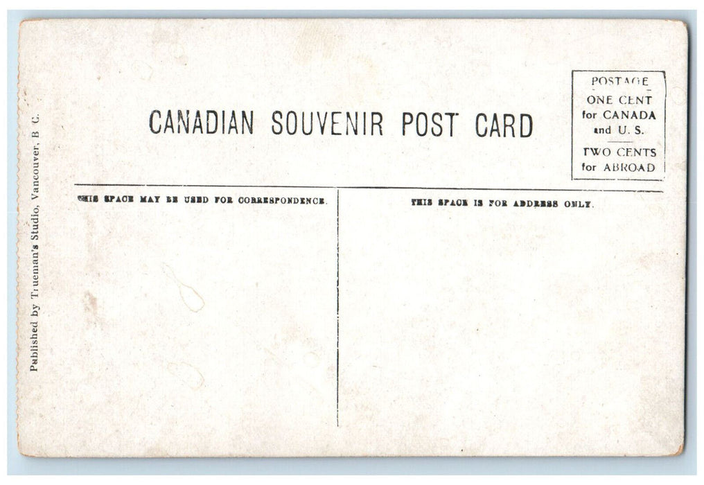 c1910 Twin Falls Yoho Valley British Columbia Canada Antique Postcard