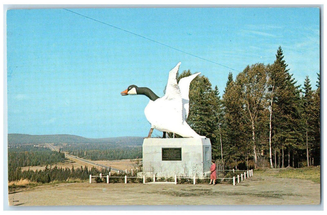 c1960's The Wild Goose Wawa Ontario Canada Vintage Unposted Postcard