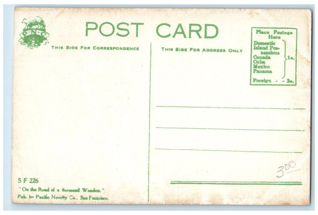1910 San Francisco Bay Ferry Tower Steamer San Francisco California CA Postcard