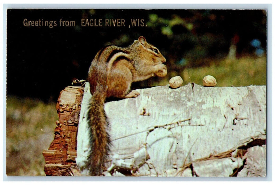 c1960 Greetings From Eagle River Wisconsin Banner WI Chipmunks Vintage Postcard