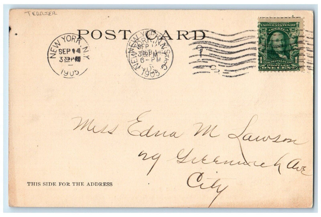1905 Couple Romance Terrier Dog Sailboat New York NY Posted Antique Postcard