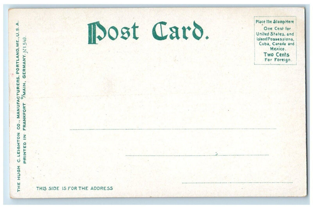 c1905 Portsmouth Terrace Home Houses View Rochester New York NY Antique Postcard