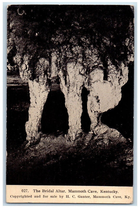 c1910's The Bridal Altar Mammoth Cave Kentucky KY Posted Antique Postcard