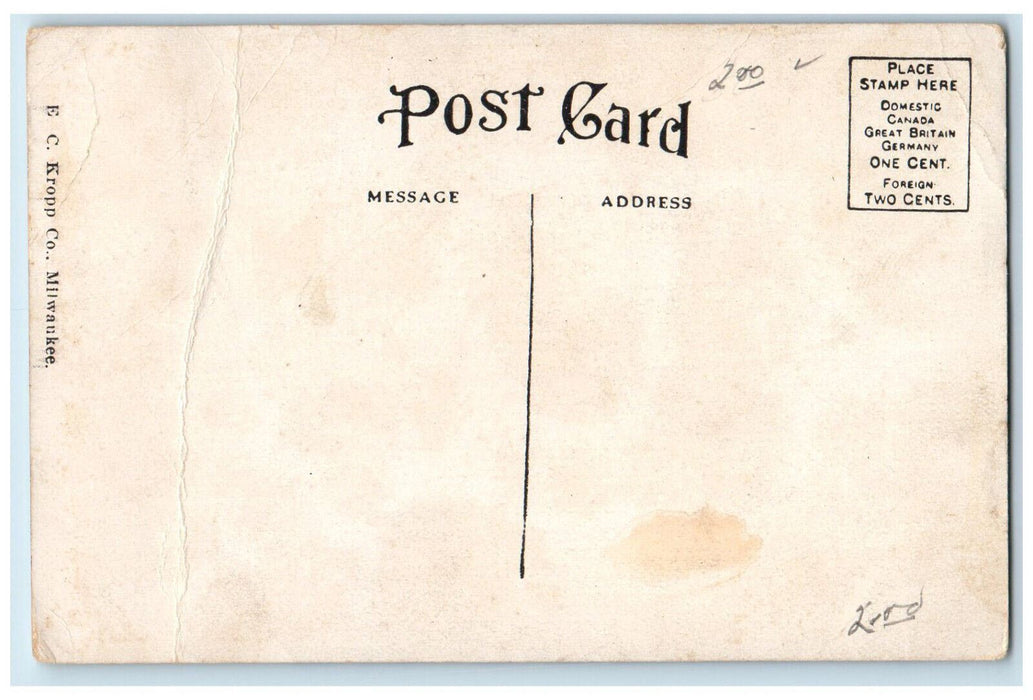 c1910 Hotel Newberry Dearborn Avenue Chicago Illinois IL Antique Postcard