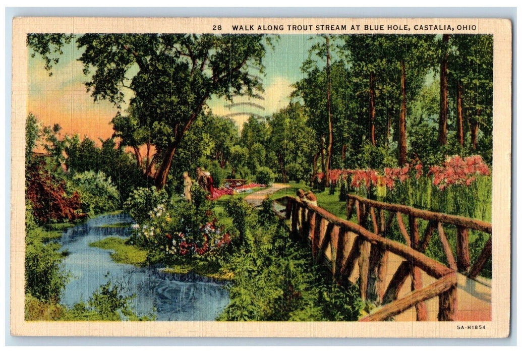 1941 Walk Along Trout Stream Blue Hole Bridge Park Garden Castalia Ohio Postcard