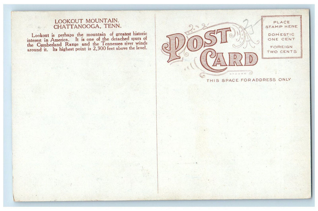 c1910 Lookout Mountain Animals Scene Chattanooga Tennessee TN Antique Postcard