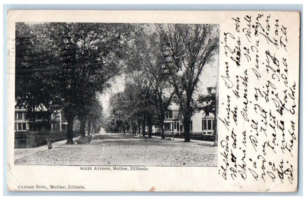 1905 Sixth Avenue Street Trees Scene Moline Illinois IL Posted Vintage Postcard