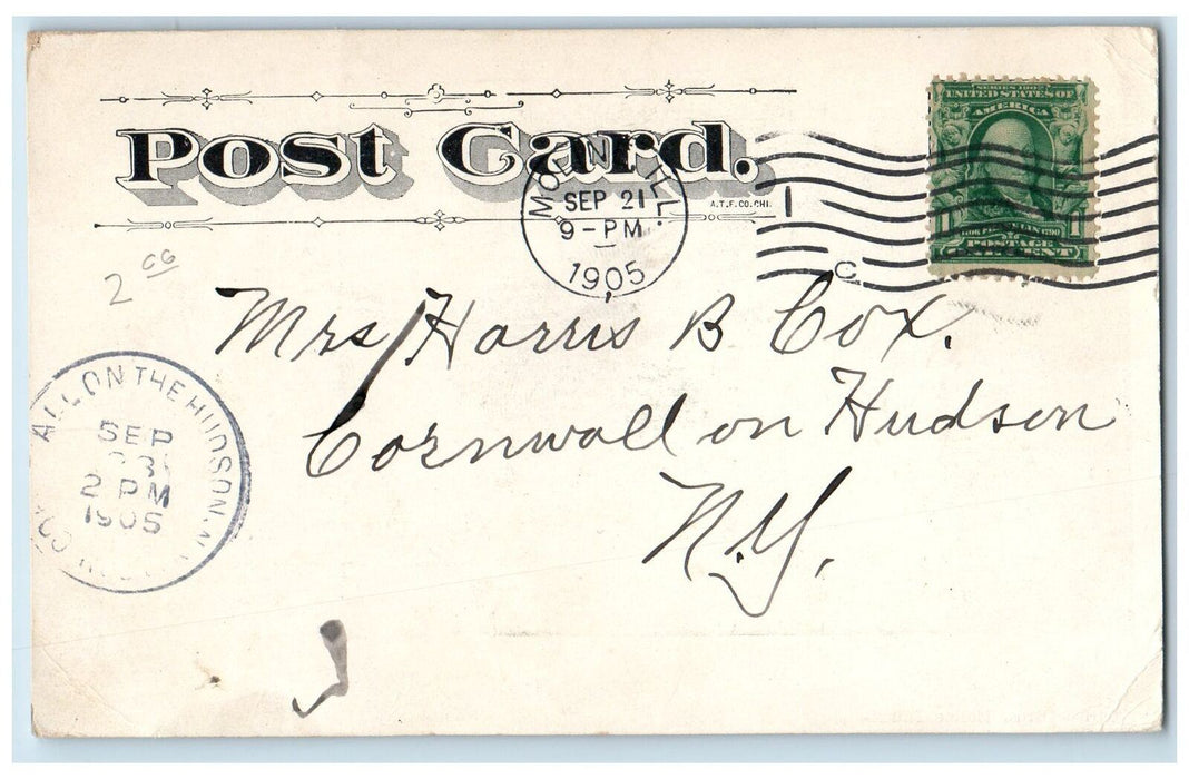 1905 Sixth Avenue Street Trees Scene Moline Illinois IL Posted Vintage Postcard