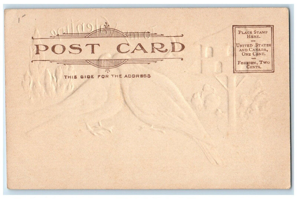c1905 Valentine Birds Lovers Kissing Bird House Embossed Antique Postcard