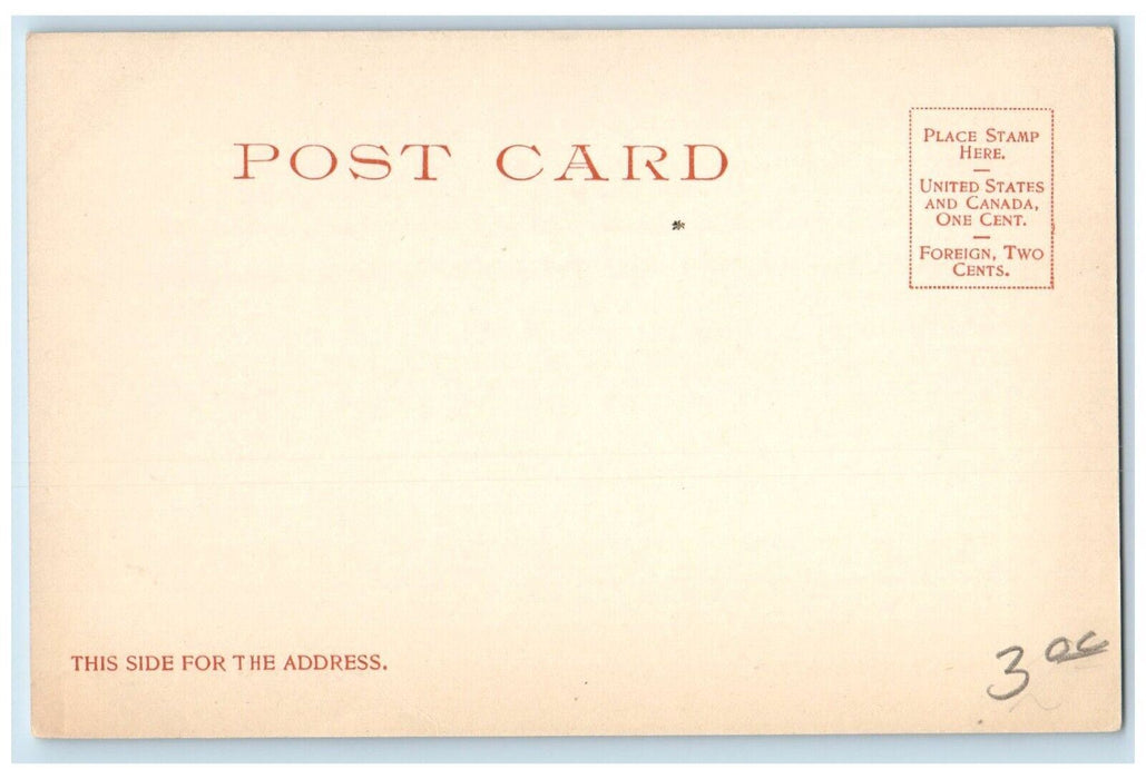c1905 Minnesota Point Town City Exterior Building Duluth Minnesota MN Postcard