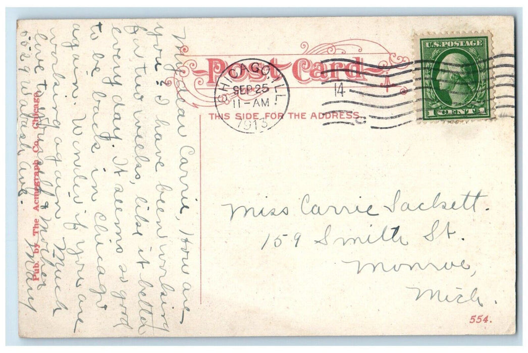 1913 Lincoln Park In Snow Storm Chicago Illinois IL, Bridge Snowfalls Postcard