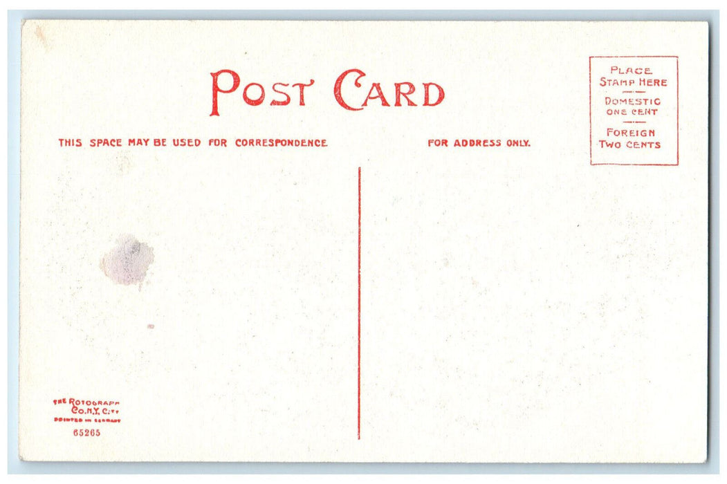 Red Bridge Great Barrington Massachusetts, River Scene MA Rotograph Postcard
