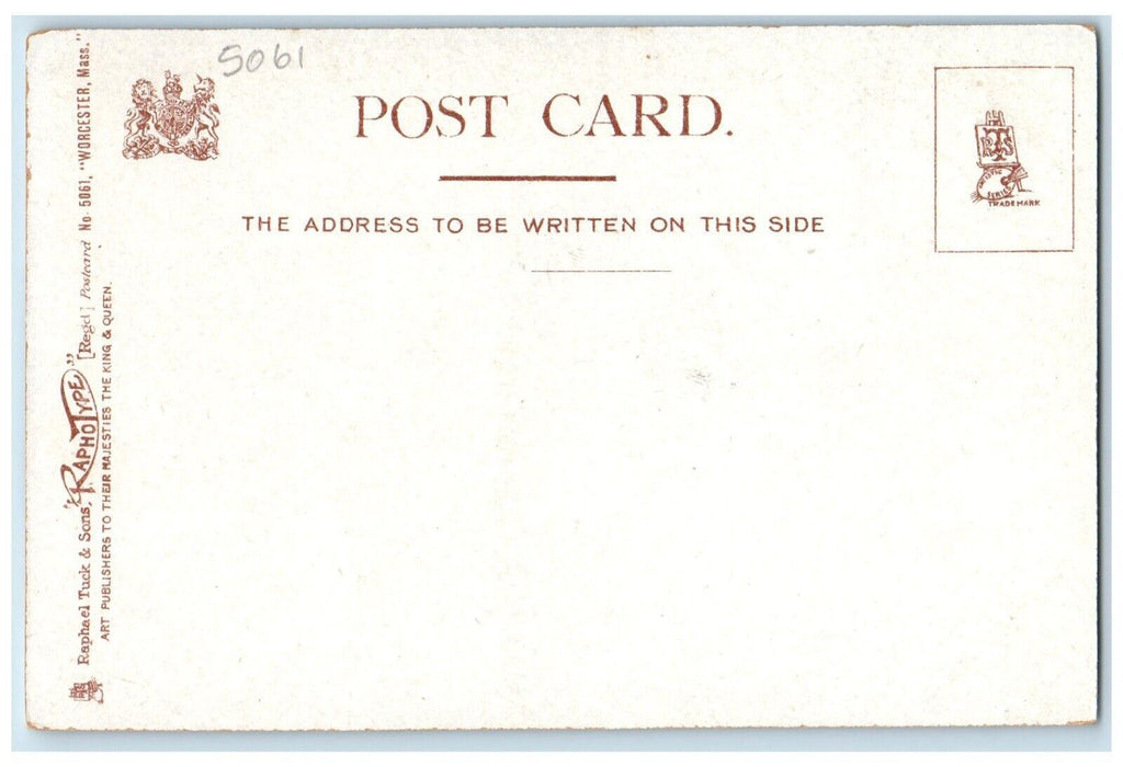 Birds Eye View Of City Hospital Worcester Massachusetts MA Tuck's Postcard