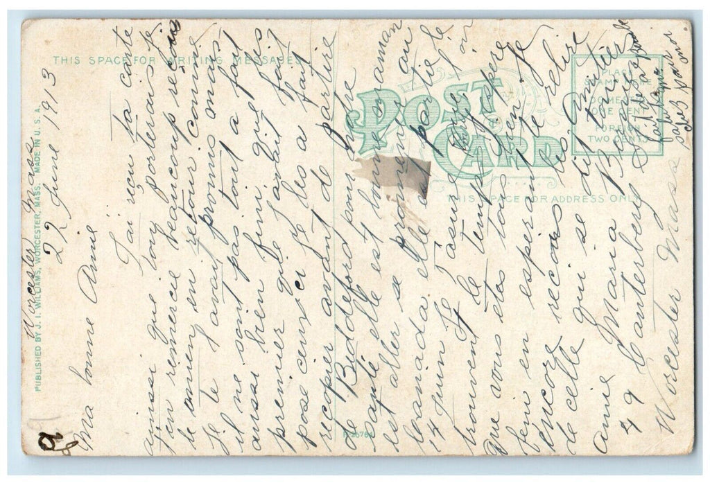 1913 Bird's Eye View From Salem Square Worcester Massachusetts MA Postcard