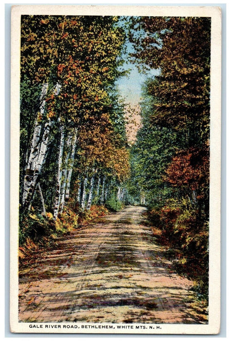 c1950 Gale River Road Bethlehem Trees White Mountains New Hampshire NH Postcard